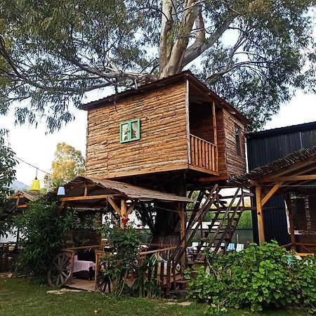 Daidala Life Acomodação com café da manhã Göcek Exterior foto