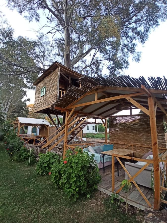Daidala Life Acomodação com café da manhã Göcek Exterior foto