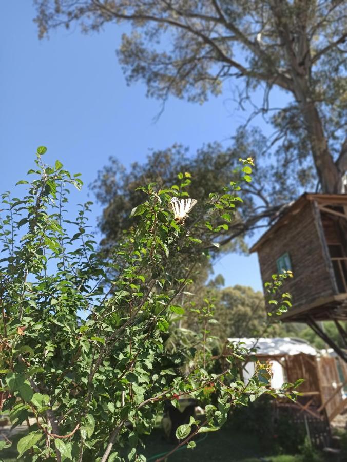 Daidala Life Acomodação com café da manhã Göcek Exterior foto